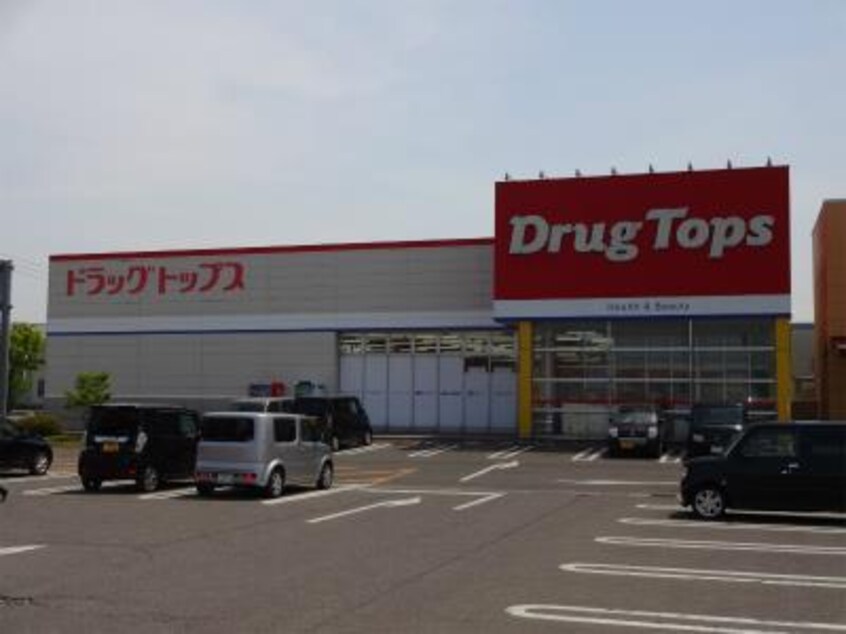 ドラッグ・トップス豊栄店(ドラッグストア)まで420m グリーンハイツ柳原