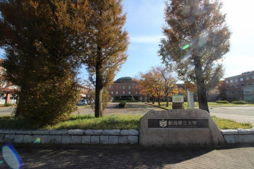 新潟県立大学(大学/短大/専門学校)まで437m サングレイス海老ケ瀬