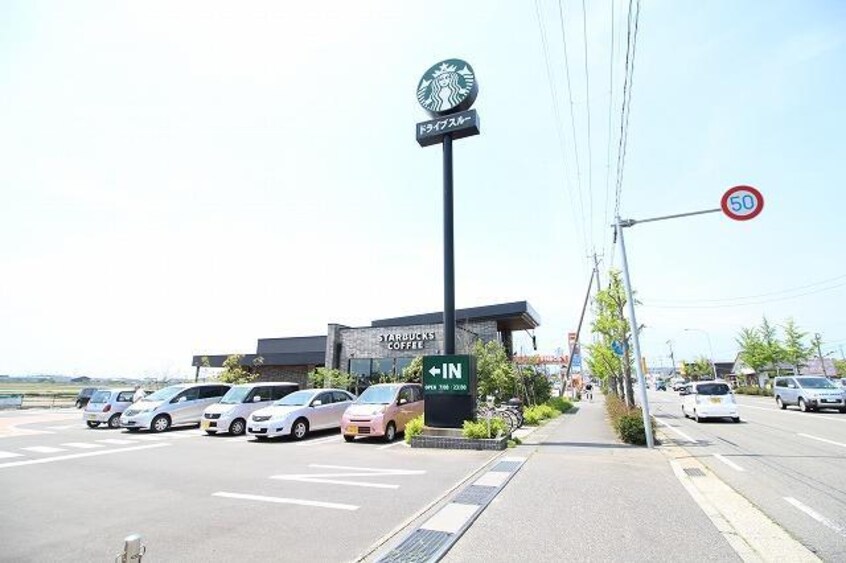 スターバックスコーヒー新潟松崎店(その他飲食（ファミレスなど）)まで314m ビアンニュー松崎