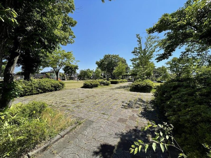 しらかば公園(公園)まで1804m クレセール