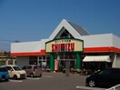 清水フードセンター河渡店(スーパー)まで412m グリーンスカイI・II