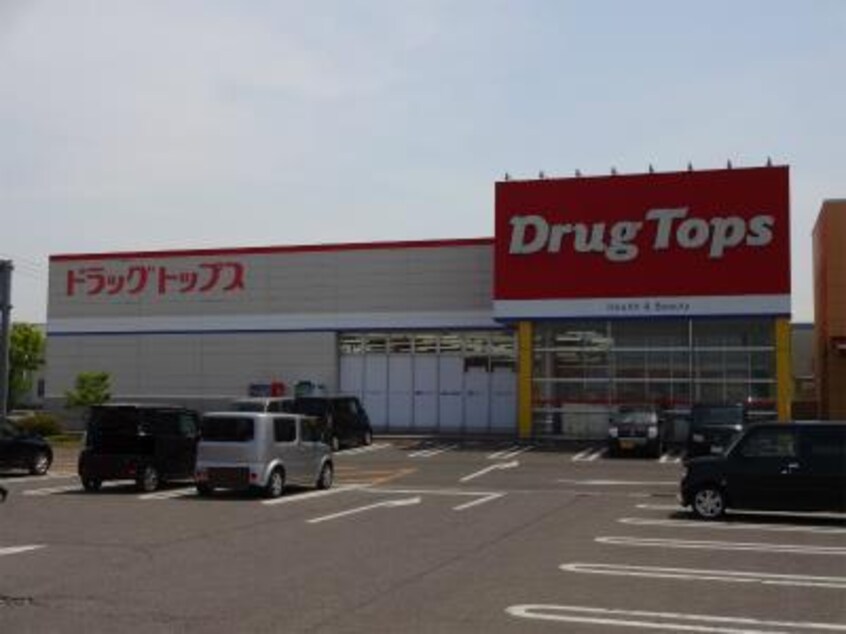 ドラッグ・トップス葛塚店(ドラッグストア)まで875m ビューテラス