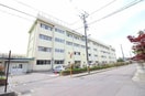 新潟市立石山中学校(中学校/中等教育学校)まで1056m ラポール