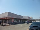 清水フードセンター中山店(スーパー)まで1301m ウィスティリア