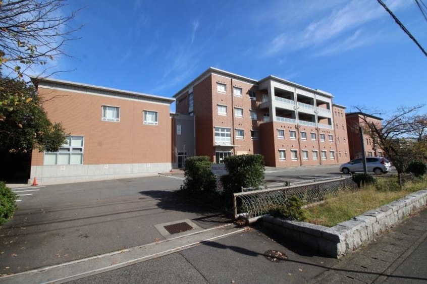 新潟県立大学(大学/短大/専門学校)まで780m コーポあゆ