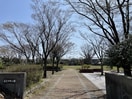 藤見中央公園(公園)まで1289m アクア　ディ　ジオ