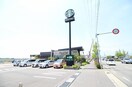 スターバックスコーヒー新潟松崎店(その他飲食（ファミレスなど）)まで607m デューク