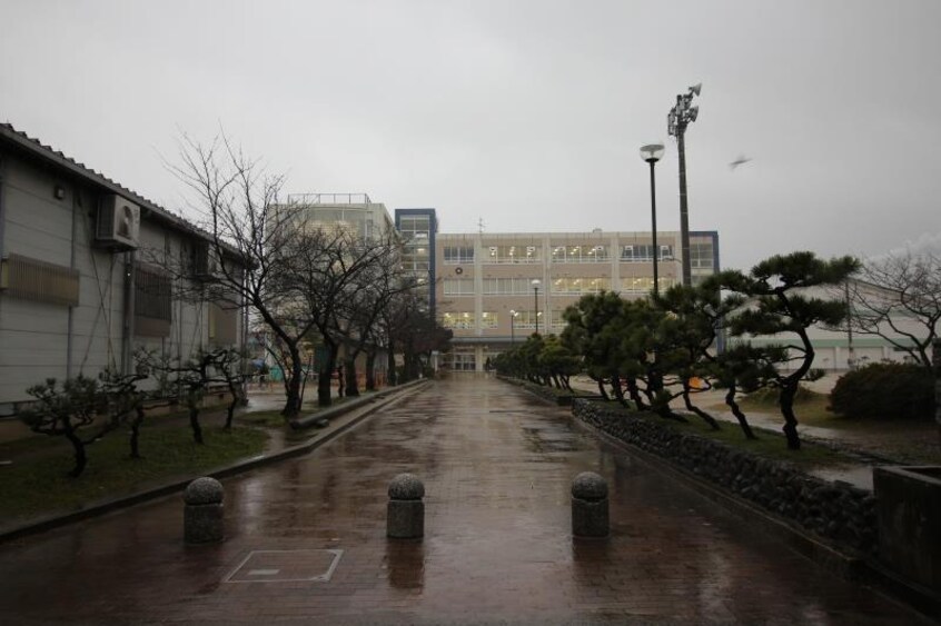 新潟市立東山の下小学校(小学校)まで1954m ウェンディハウスＢ