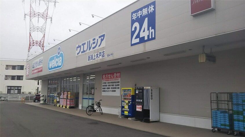 ウエルシア新潟上木戸店(ドラッグストア)まで2166m ハイランド白銀