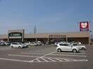 ウオロク葛塚店(スーパー)まで600m コーポ椿