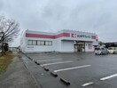 ココカラファイン豊栄店(ドラッグストア)まで942m コーポ椿