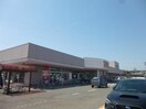 清水フードセンター中山店(スーパー)まで716m グランジェロ