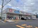 ウエルシア新潟横越店(ドラッグストア)まで494m CASA　LUMINOSA（カサ　ルミノーサ）