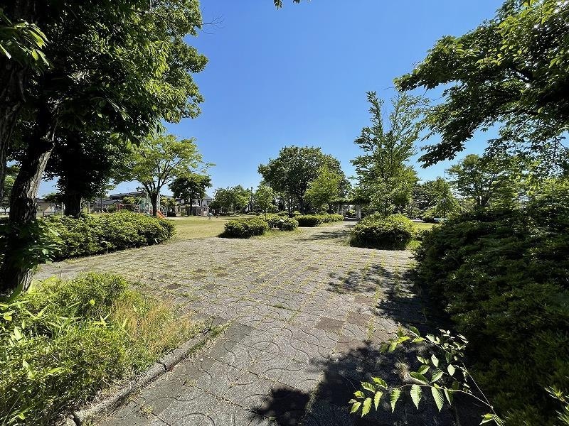 しらかば公園(公園)まで2364m メゾンエクセルI・II