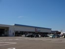 カワチ薬品松崎店(ドラッグストア)まで865m ディア・エレファント