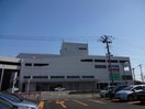 新潟市東区役所(役所)まで3185m ディア・エレファント