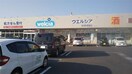 ウエルシア新潟秋葉通店(ドラッグストア)まで287m グリーンパレス