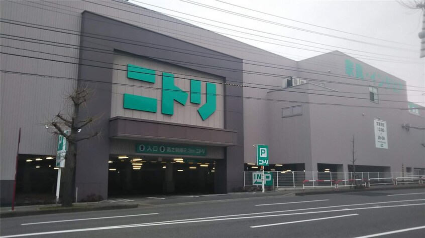 ニトリ新潟赤道店(電気量販店/ホームセンター)まで991m グリーンパレス