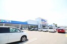 コメリパワー河渡店(電気量販店/ホームセンター)まで101m フォルトゥーナ