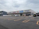 ウエルシア新潟中山店(ドラッグストア)まで594m グランディア中山