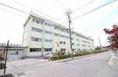 新潟市立石山中学校(中学校/中等教育学校)まで829m エトワール江南