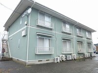 エバーグリーン大形