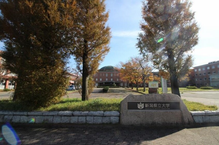 新潟県立大学(大学/短大/専門学校)まで697m エバーグリーン大形