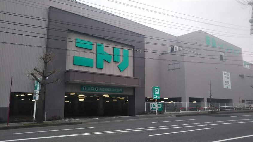 ニトリ新潟赤道店(電気量販店/ホームセンター)まで1839m ラ・フィエスタI