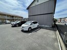  サフランB