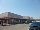 清水フードセンター中山店(スーパー)まで634m KEI2