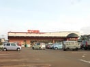 キューピット粟山店(スーパー)まで834m セレッソ花水