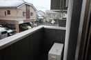  ピターニュB