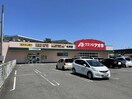 クスリのアオキ松浜店(ドラッグストア)まで1144m HAMAJOY・PLACE