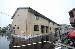 プレミアムコート
