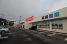 ドラッグ・トップス上木戸店(ドラッグストア)まで540m D-premier牡丹山