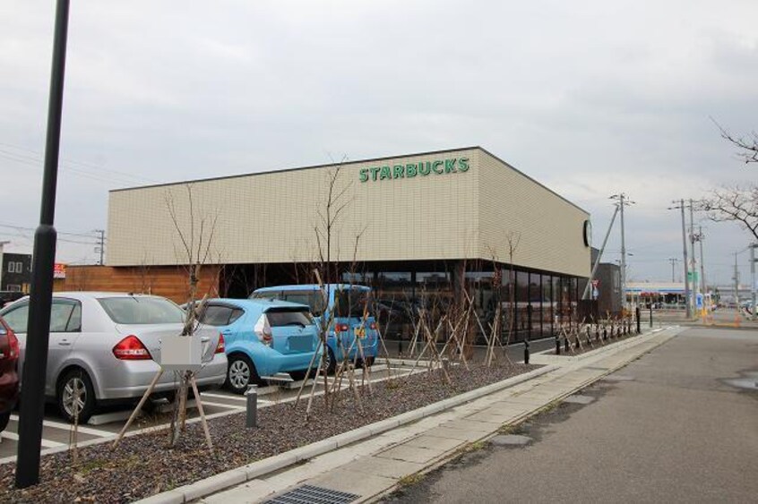スターバックスコーヒー新潟中野山店(その他飲食（ファミレスなど）)まで659m グリーンパレス