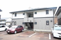 カムールカメリアA