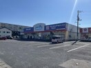 ウエルシア亀田店(ドラッグストア)まで704m 船戸山貸家