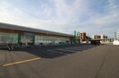 ウオロク馬越店(スーパー)まで663m Hanano