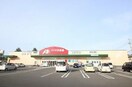 クスリのアオキ馬越店(ドラッグストア)まで429m Hanano