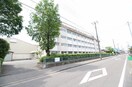 新潟市立江南小学校(小学校)まで1017m Hanano