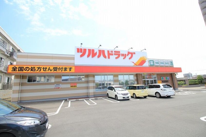 ツルハドラッグ新潟関屋店(ドラッグストア)まで734m アドラブール文京町