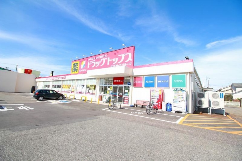 ドラッグ・トップスとやの店(ドラッグストア)まで537m ルーチェＳ