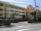 新潟市立白山小学校(小学校)まで564m コープ野村川端町Ａ棟1204号室