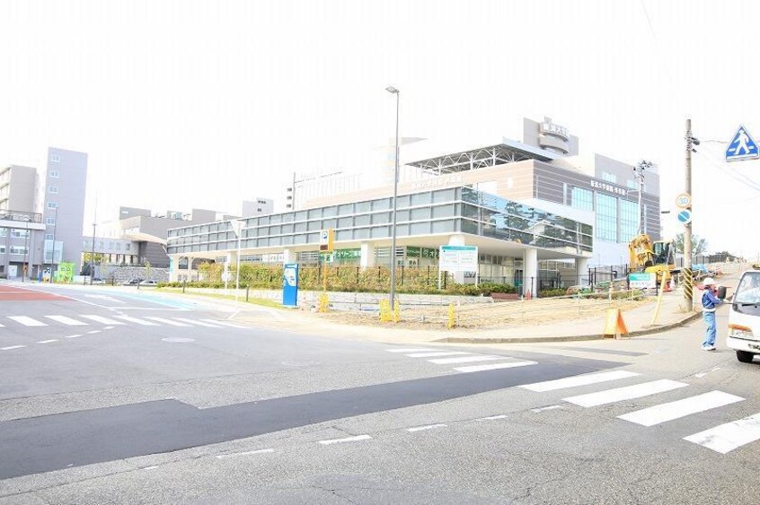 新潟大学医歯学総合病院(病院)まで1304m グレイスヴィラ西大畑