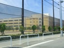 新潟市立鳥屋野小学校(小学校)まで1167m リシェス