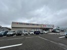 ココカラファイン女池店(ドラッグストア)まで664m レイクサイドＡ棟
