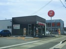 ほっともっと新潟愛宕店(その他飲食（ファミレスなど）)まで408m ポラリス