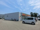 デイリーヤマザキ新潟大島店(コンビニ)まで449m グランドソレイユＡ