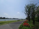 信濃川やすらぎ堤緑地(公園)まで1241m ビエンナ